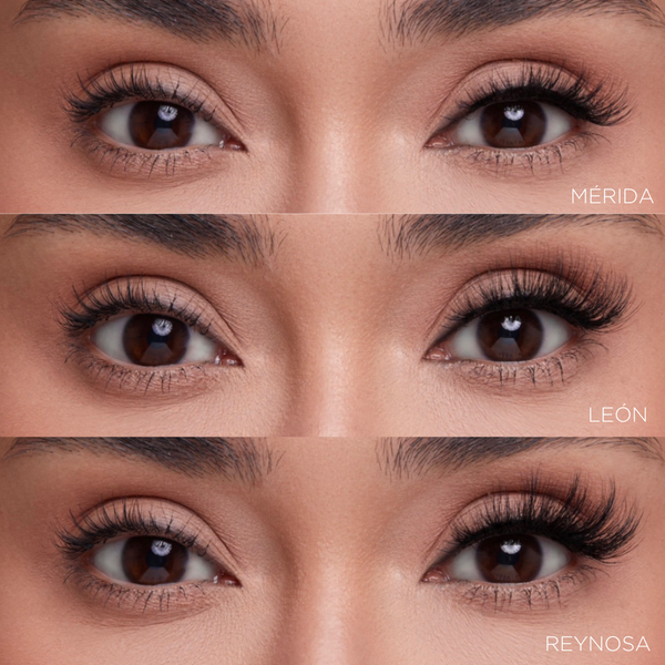 PRETTY LATINA LASH KIT